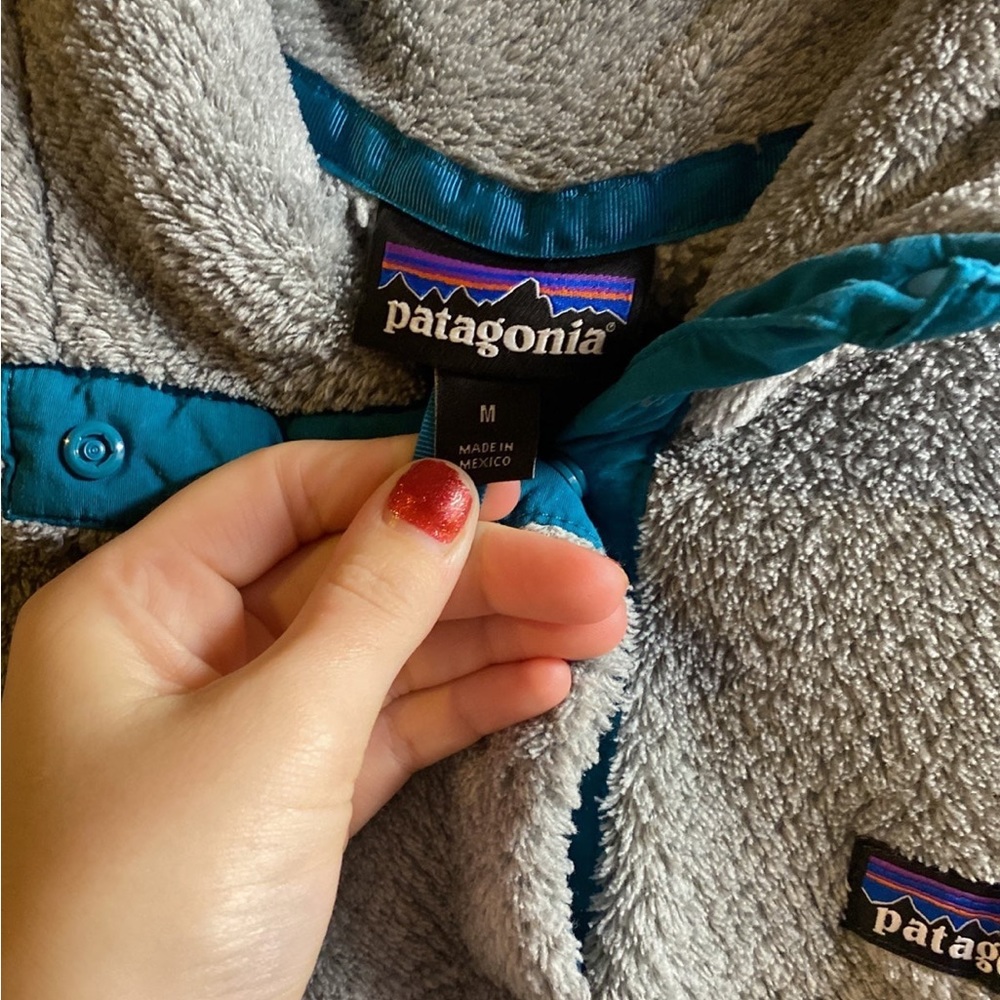 Patagonia - Picture 3 of 6